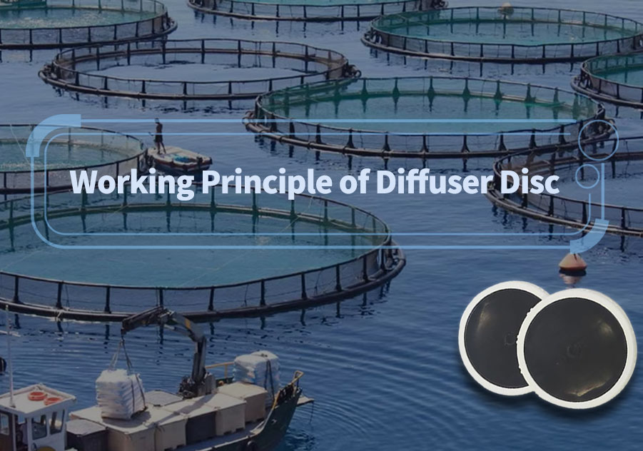 Working Principle of Diffuser Disc